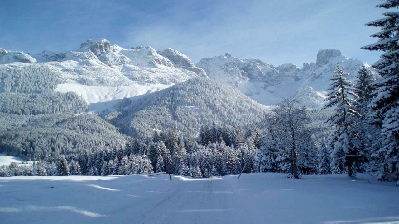Berg Chalet Annaberg im Lammertal Exterior foto