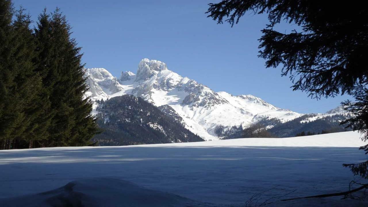Berg Chalet Annaberg im Lammertal Exterior foto